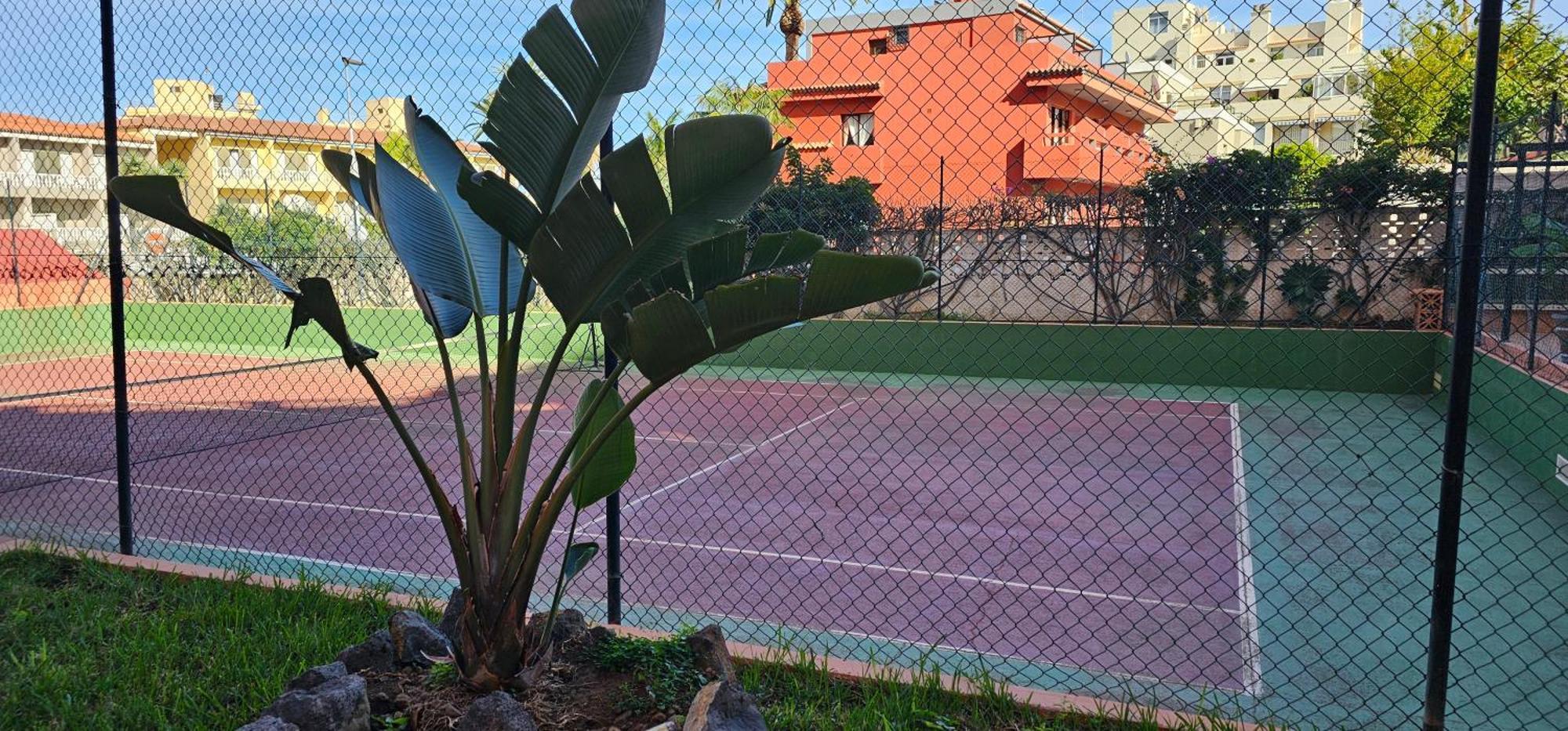 Estudio Tranquilo Cerca Del Mar. Puerto de la Cruz  Exterior foto
